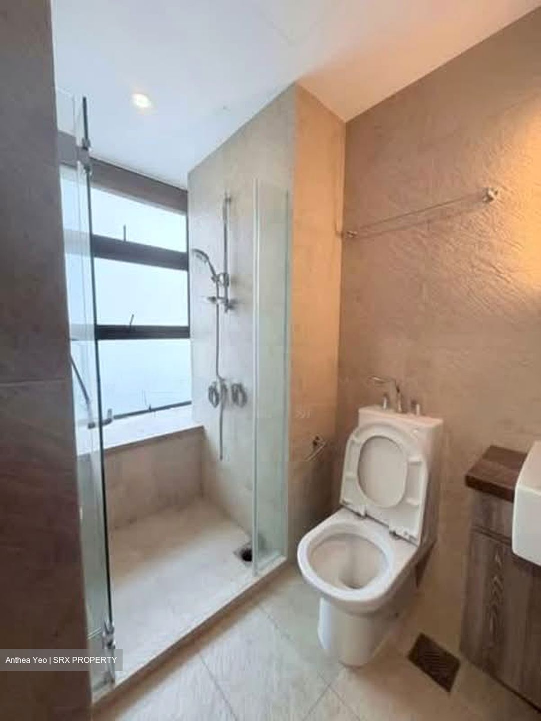 Holland Link (D10), Terrace #556148391
